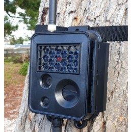 X80 Buckeye CAM Long Range Wireless Camera With Bluetooth